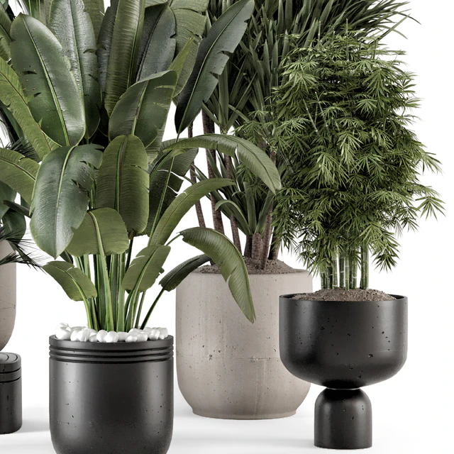 Indoor Plants  in rusty Concrete Pot - Set 1331 — Скачать