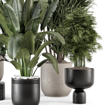Indoor Plants  in rusty Concrete Pot - Set 1331 — Вид 2