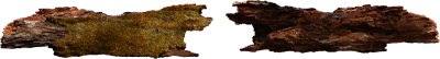 mossy wooden log 002 — Descargar