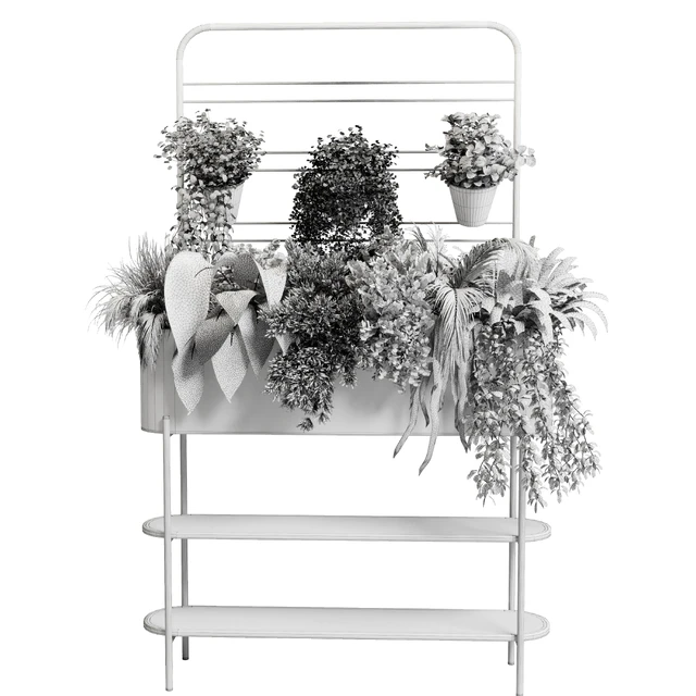 Collection Indoor plant 69 Auckland Black Metal Flower Box plant ivy fern pots — Скачать