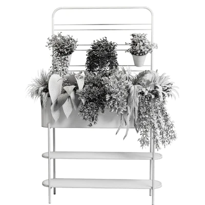 Collection Indoor plant 69 Auckland Black Metal Flower Box plant ivy fern pots — Вид 2