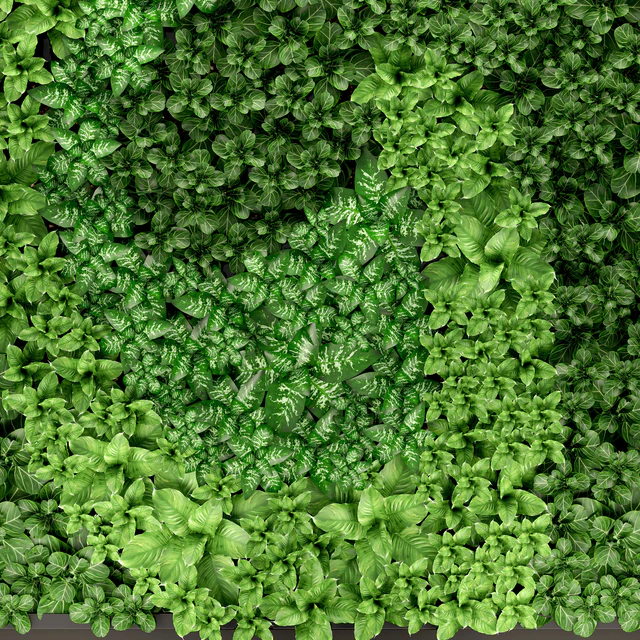 Vertical garden 14. vertical garden, green wall, phytomodule, eco design, picture of flowers, plants on the wall — Descargar