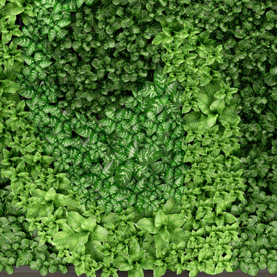 Vertical garden 14. vertical garden, green wall, phytomodule, eco design, picture of flowers, plants on the wall — Ver 2