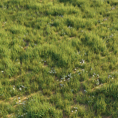 Uncut grass lawn — Ver 2