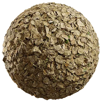dried leaves 043 — Descargar