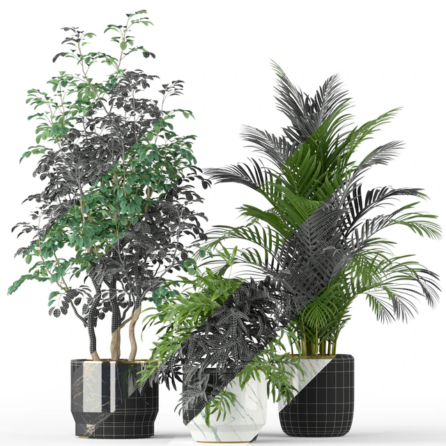Plants collection 204 — Descargar