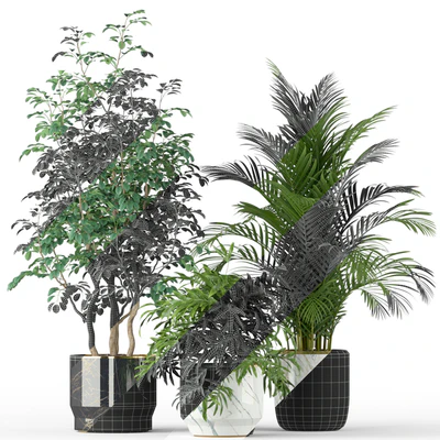 Plants collection 204 — Ver 2