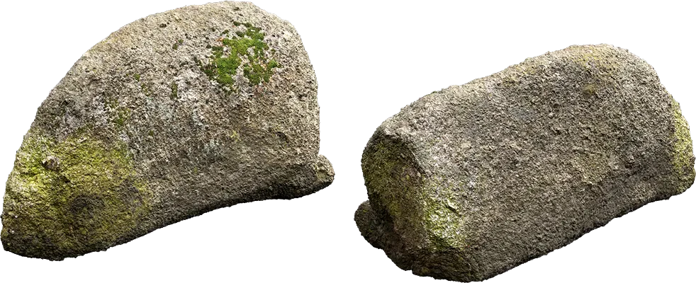 mossy forest boulder 017 — Descargar