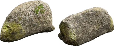 mossy forest boulder 017 — Descargar