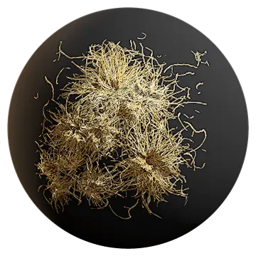 dry grass patch 002 — Descargar