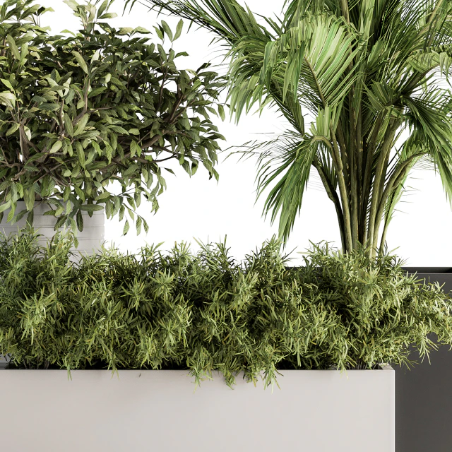 indoor Plant Set 188 - Plant Boxes — Скачать