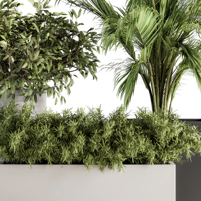indoor Plant Set 188 - Plant Boxes — Вид 2