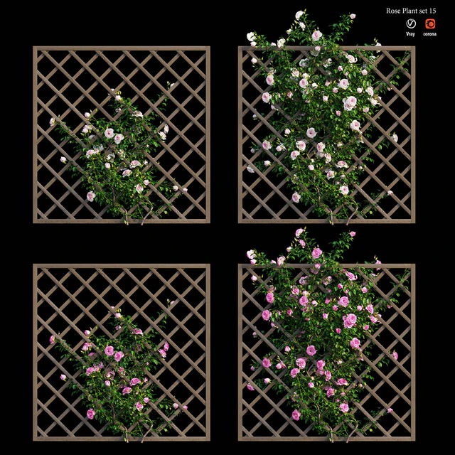 Rose plant set 15 — Скачать