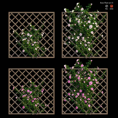 Rose plant set 15 — Вид 1