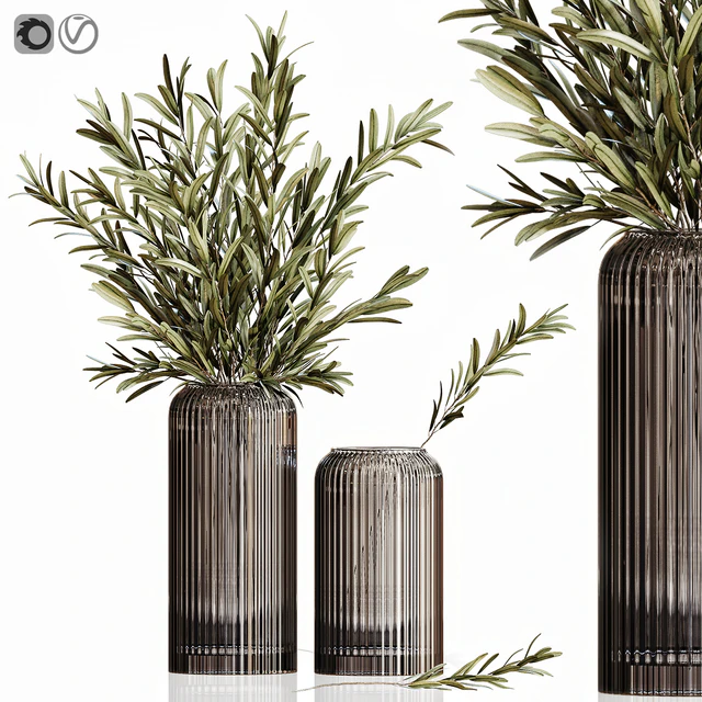 Olives in vases 3 — Скачать