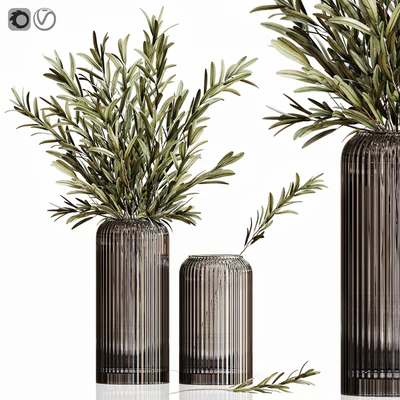 Olives in vases 3 — Вид 1