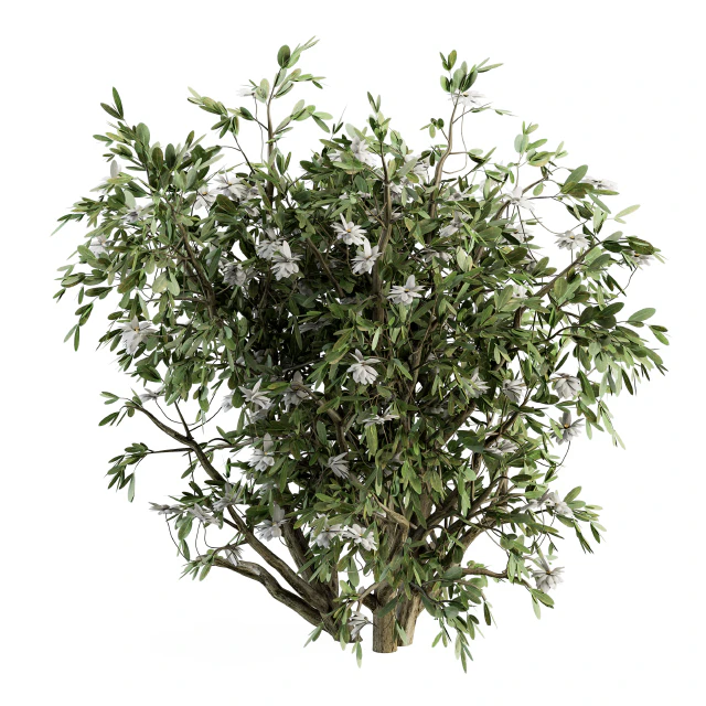 Flower Bush - Bush Set 15 — Descargar