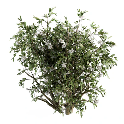 Flower Bush - Bush Set 15 — Ver 2