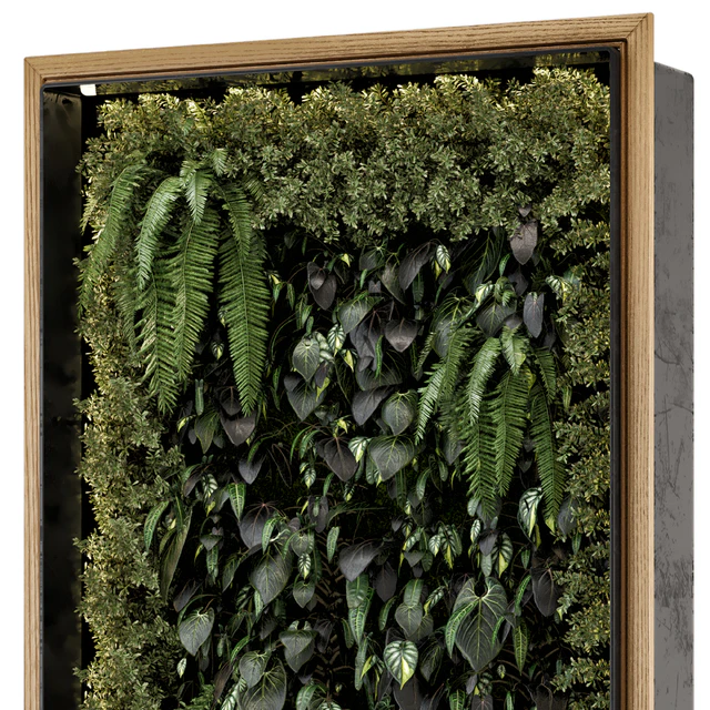 Indoor Wall Vertical Garden in Wooden Base - Set 523 — Download