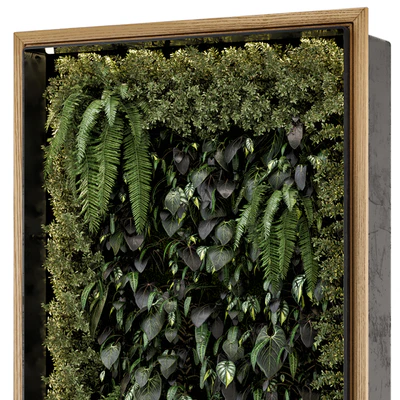 Indoor Wall Vertical Garden in Wooden Base - Set 523 — View 2