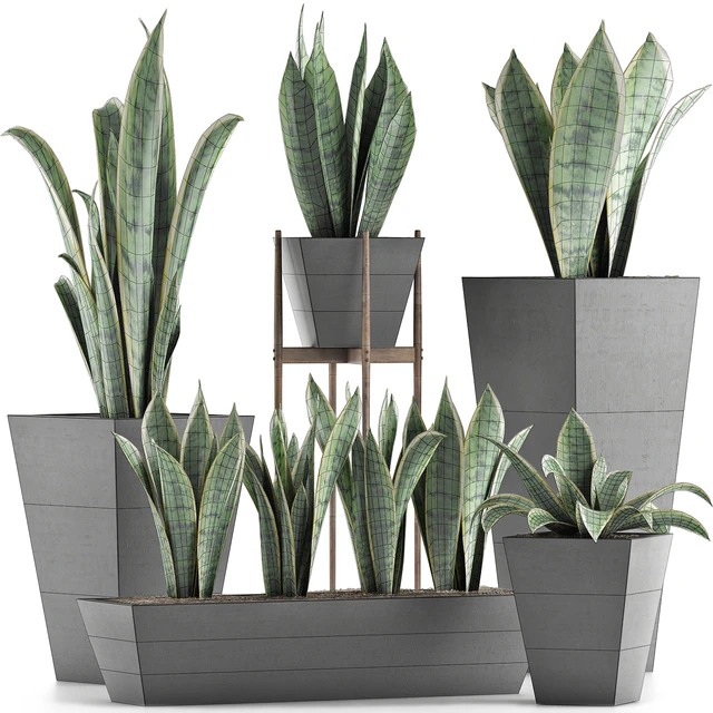 Plants Collection 29 — Descargar