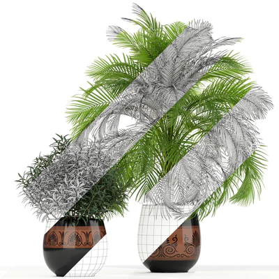 Plants collection 182 — Вид 2