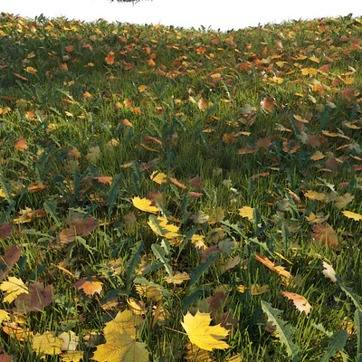 Lawn with dry maple leaves — Ver 2