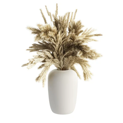 apothecary vase with pampas grass by kristina dam studio — скачать