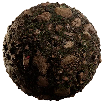 rocky forest floor 009 — Descargar