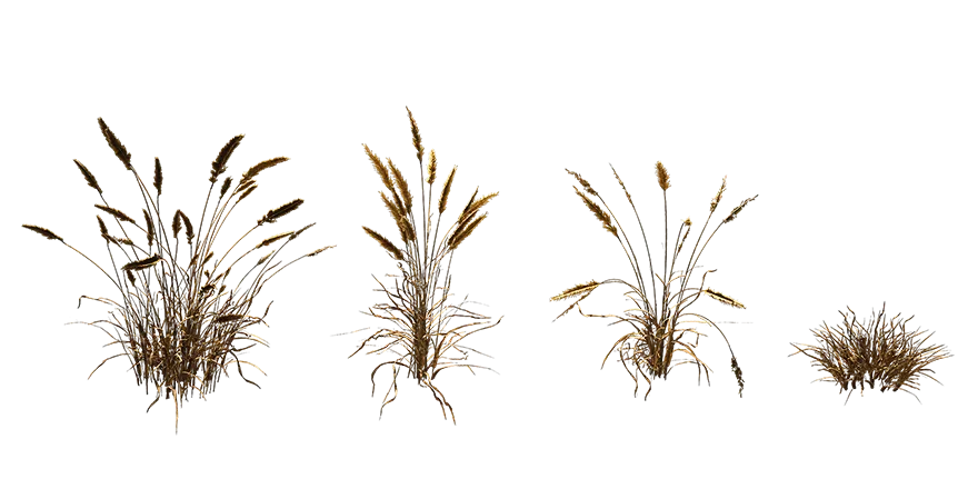 grass 007 — Скачать