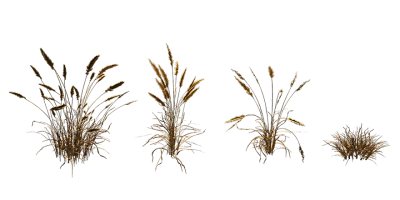 grass 007 — Скачать