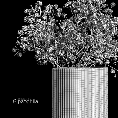 A bouquet of gypsophila — Вид 2