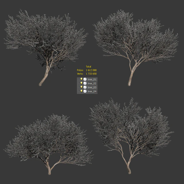 Set of olive trees v2. 4 models — Descargar