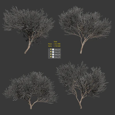 Set of olive trees v2. 4 models — Ver 2