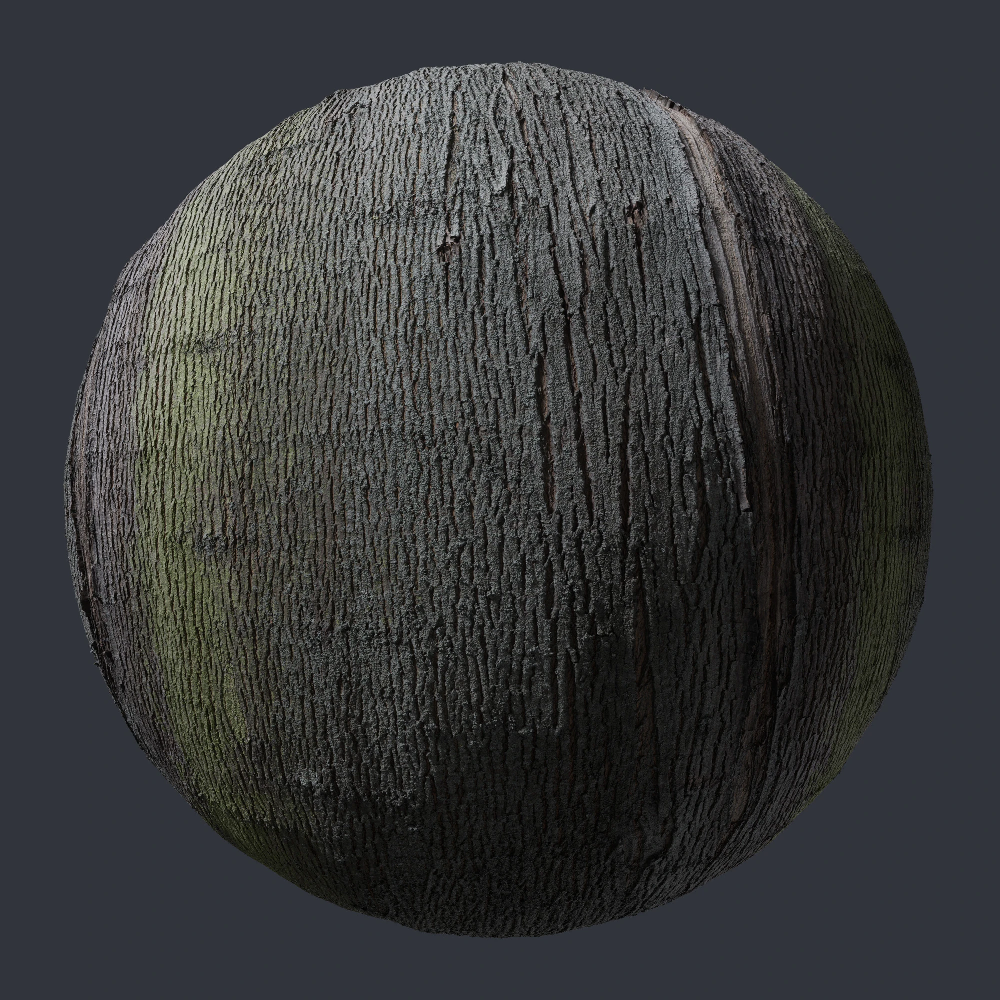 maple bark 002 — Скачать