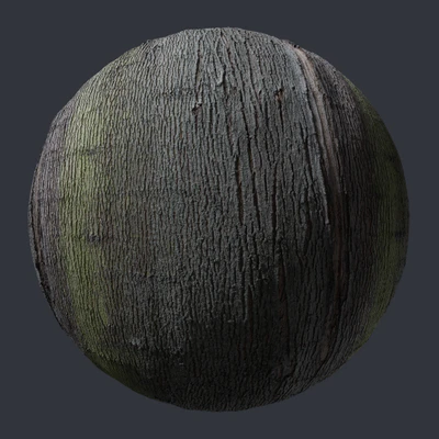 maple bark 002 — скачать