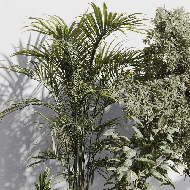 indoor plant set 85 — Скачать