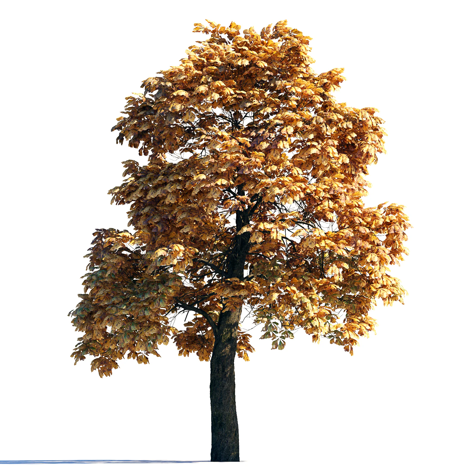 013 autumn — Descargar