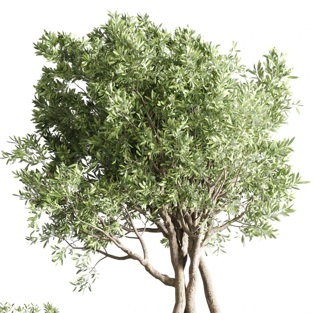 collection Indoor outdoor plant 122 pot tree plant bush dirty concrete vase pot — Descargar
