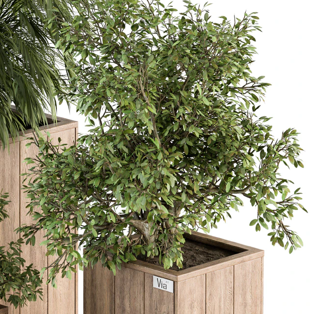 Outdoor Plant Set 297 - Wooden Plant Box — Скачать