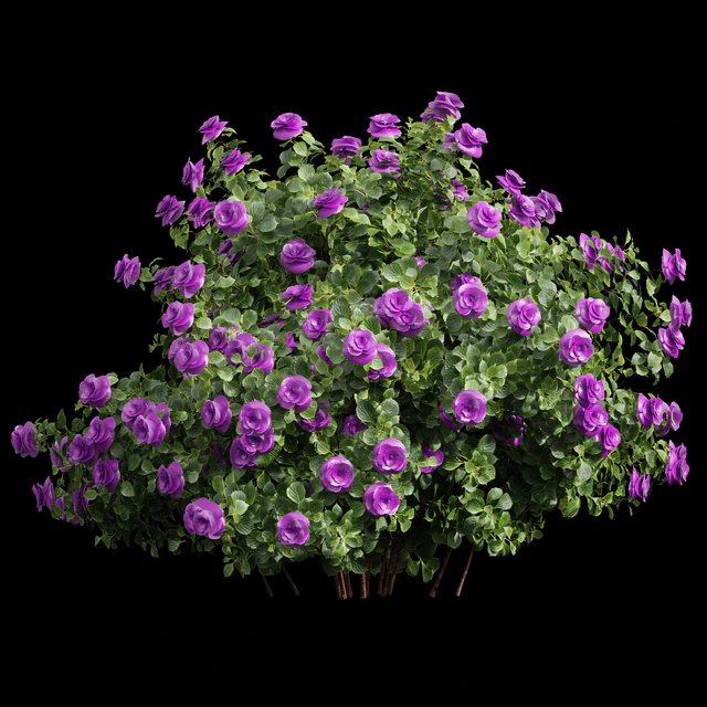 New Plant High detail Climbing Roses Bush — Descargar