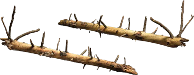 nordic forest tree log small 001 — Скачать