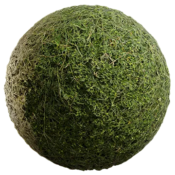 wild grass 039 — Скачать