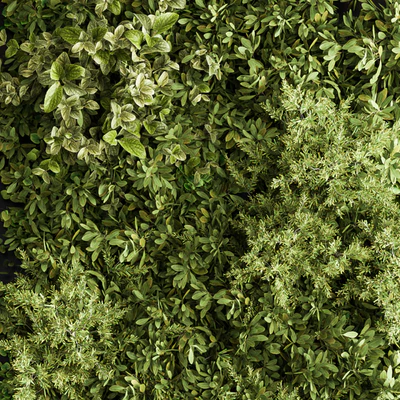 Vertical Garden Wood Frame - Wall Decor 33 — Ver 2