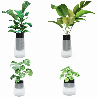 Plant collection — Ver 2