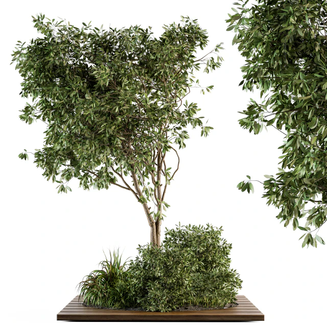 Garden set bush and Tree - Garden Set 05 — Скачать
