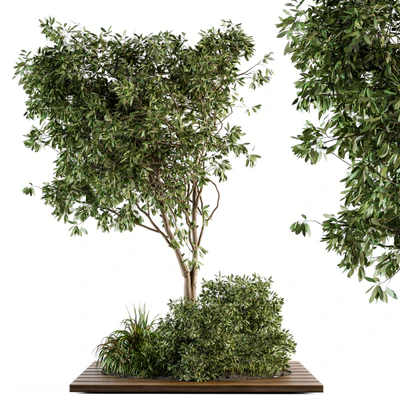 Garden set bush and Tree - Garden Set 05 — Вид 1