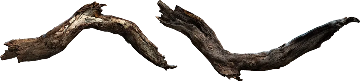 tree branch 010 — Скачать