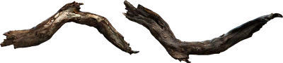 tree branch 010 — Скачать