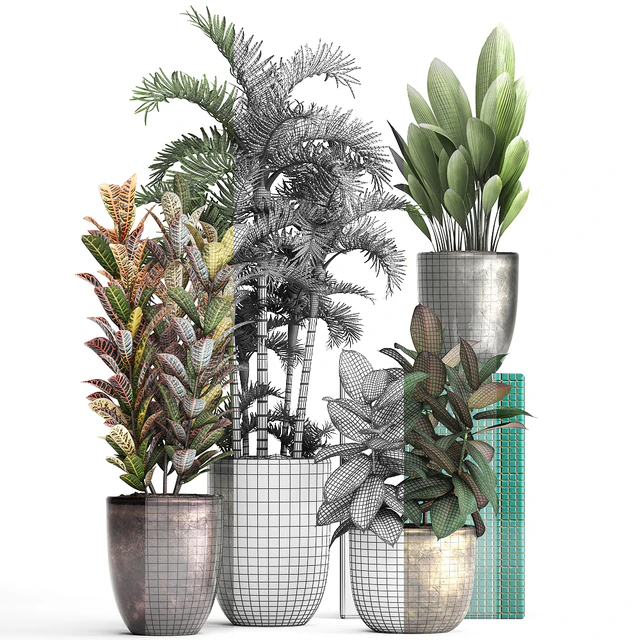 Plant collection 353. luxury, pot, flowerpot, indoor plants, Croton, palm grass, ficus robusta, areca palm — Descargar